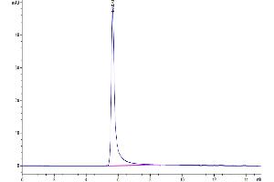 The purity of Mouse GPRC5D VLP is greater than 95 % as determined by SEC-HPLC. (GPRC5D Protein-VLP (AA 1-344))