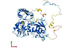Protein Structure (PS) image for Diphthamide Biosynthesis Protein 2 (DPH2) (AA 1-489) protein (His tag) (ABIN7560602)