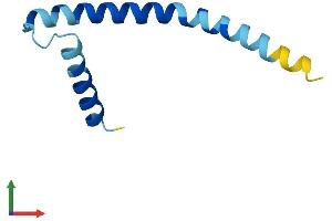 Protein Structure (PS) image for Serine Palmitoyltransferase, Small Subunit B (SPTSSB) (AA 1-76) protein (Fc Tag) (ABIN7546236)