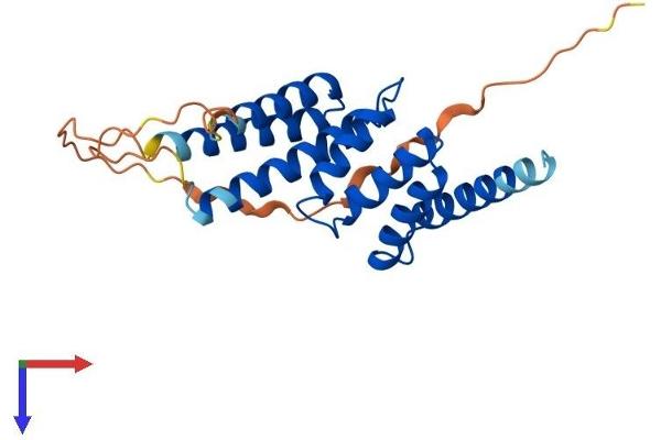 TTC9 Protein (AA 1-222) (His tag)