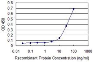 Detection limit for recombinant GST tagged PCAF is approximately 10ng/ml as a capture antibody. (KAT2B Antikörper  (AA 353-452))