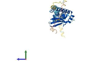 AlphaFold protein structure predicition of Human Recombinant POPDC3 Protein, UniprotID Q9HBV1