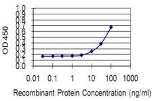 Detection limit for recombinant GST tagged KIF13B is 3 ng/ml as a capture antibody.