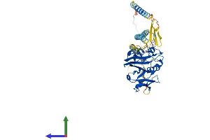 Protein Structure (PS) image for Fibrinogen C Domain Containing 1 (FIBCD1) (AA 1-459) protein (His tag) (ABIN7561962)