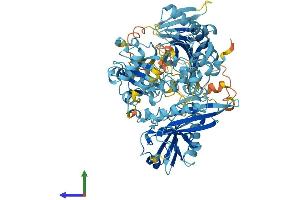 Protein Structure (PS) image for Advillin (AVIL) (AA 1-819) protein (His tag) (ABIN7562597)