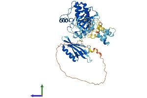 Protein Structure (PS) image for Protein Kinase, AMP-Activated, alpha 2 Catalytic Subunit (PRKAA2) (AA 1-552) protein (His tag) (ABIN7551918)