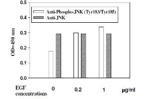 Hela cells were stimulated by different concentrations of anisomycin for 15 minutes at 37 °C (JNK ELISA Kit)