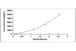 Typical standard curve (CHST7 ELISA Kit)