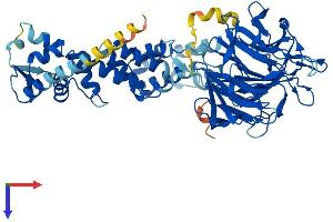 KLHL7 Protein (AA 1-586) (His tag)