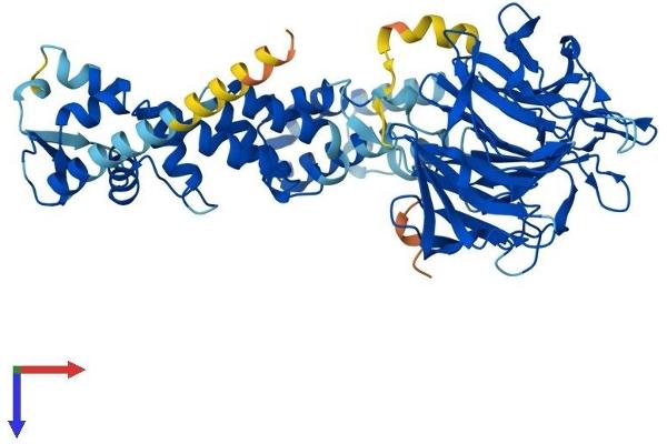 KLHL7 Protein (AA 1-586) (His tag)