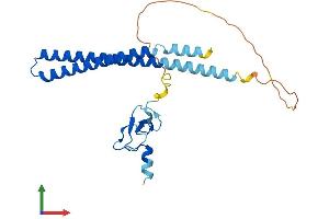 AlphaFold protein structure predicition of Mouse Recombinant Ing5 Protein, UniprotID Q9D8Y8 (ING5 Protein (AA 1-240) (His tag))