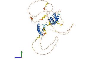 Protein Structure (PS) image for POU domain, class 2, transcription factor 2 (POU2F2) (AA 1-463) protein (His tag) (ABIN7556846)