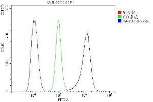 Flow Cytometry analysis of THP-1 cells using anti-CARD9 antibody (ABIN7599386).