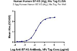 Immobilized Human B7-H3 (4Ig), His Tag at 1 μg/mL (100 μL/Well) on the plate.
