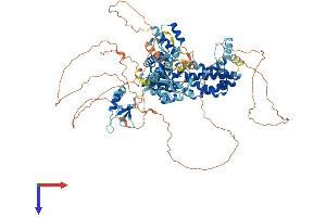 AlphaFold protein structure predicition of Human Recombinant ZBED6 Protein, UniprotID P86452 (Zinc Finger, BED-Type Containing 6 (ZBED6) (AA 1-979) protein (His tag))