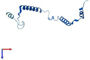 MRP63 Protein (AA 1-102) (His tag)