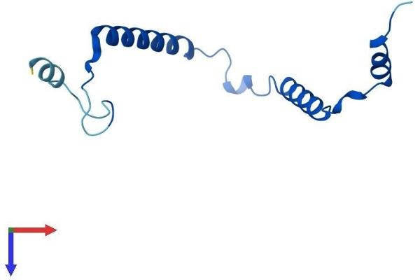 MRP63 Protein (AA 1-102) (His tag)