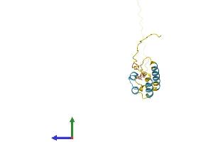 AlphaFold protein structure predicition of Mouse Recombinant Ppp1r14a Protein, UniprotID Q91VC7
