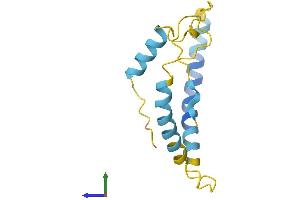 Protein Structure (PS) image for Potassium Voltage-Gated Channel, Isk-Related Family, Member 1 (KCNE1) (AA 1-129) protein (His tag) (ABIN7548810)
