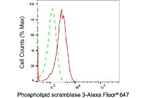 Flow cytometric analysis of Phospholipid scramblase 3 expression in H9c2 cells using Phospholipid scramblase 3 antibody (ABIN7799827), 1:2,000). (Rekombinanter PLSCR3 Antikörper)