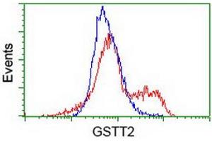 HEK293T cells transfected with either RC200040 overexpress plasmid (Red) or empty vector control plasmid (Blue) were immunostained by anti-GSTT2 antibody (ABIN2453887), and then analyzed by flow cytometry. (GSTT2 Antikörper)