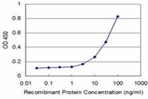 Detection limit for recombinant GST tagged NFKBIB is approximately 3ng/ml as a capture antibody. (NFKBIB Antikörper  (AA 56-145))