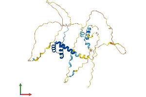 Protein Structure (PS) image for Retina and Anterior Neural Fold Homeobox (RAX) (AA 1-346) protein (His tag) (ABIN7545918)