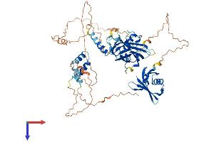 GRHL3 Protein (AA 1-603) (His tag)