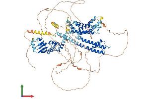 Protein Structure (PS) image for Potassium Voltage-Gated Channel, Shab-Related Subfamily, Member 2 (KCNB2) (AA 1-907) protein (His tag) (ABIN7562011)