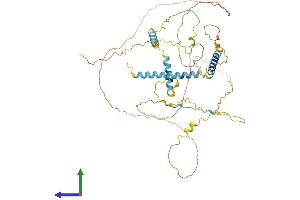 AlphaFold protein structure predicition of Mouse Recombinant Lad1 Protein, UniprotID P57016