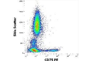 Flow cytometry surface staining pattern of human peripheral whole blood stained using anti-human CD75 (LN1) PE antibody (10 μL reagent / 100 μL of peripheral whole blood). (ST6GAL1 Antikörper  (PE))