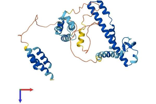 DNAJB14 Protein (AA 1-379) (His tag)