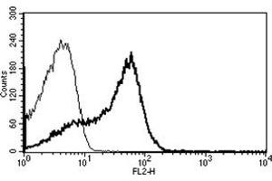 Flow Cytometry (FACS) image for anti-CD7 (CD7) antibody (PE) (ABIN1106544) (CD7 Antikörper  (PE))