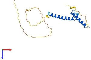 ASCL3 Protein (AA 1-174) (His tag)