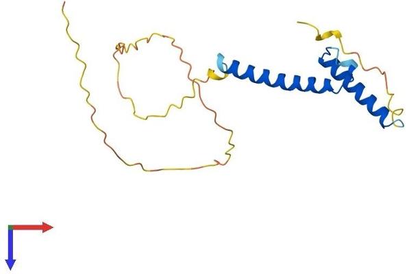 ASCL3 Protein (AA 1-174) (His tag)