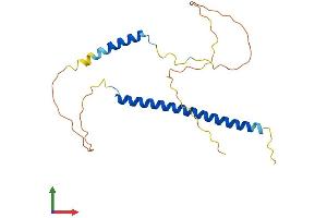 Protein Structure (PS) image for Akirin 2 (AKIRIN2) (AA 1-203) protein (His tag) (ABIN7552109)
