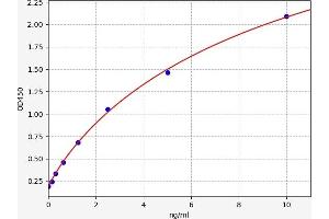 Typical standard curve (FOXA2 ELISA Kit)