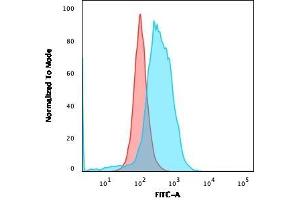 Flow Cytometric Analysis of PFA-fixed Ramos cells. (CD86 Antikörper)