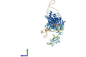 Protein Structure (PS) image for LIM Domain Kinase 1 (LIMK1) (AA 1-647) protein (His tag) (ABIN7563436)