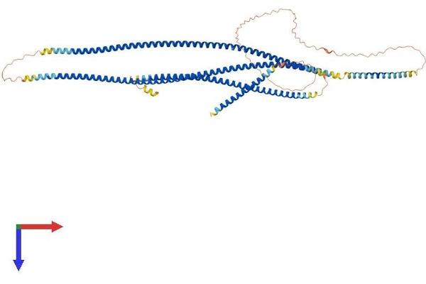 CEP63 Protein (AA 1-703) (His tag)