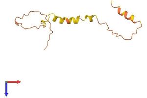 TSPO Protein (AA 1-102) (His tag)