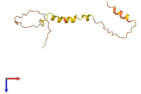 TSPO Protein (AA 1-102) (His tag)