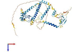 Zinc Finger, FYVE Domain Containing 19 (ZFYVE19) (AA 1-471) protein (His tag)