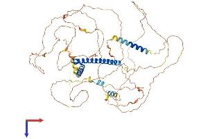 TCF12 Protein (AA 1-682) (His tag)