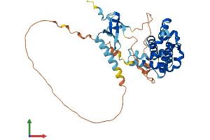 Protein Structure (PS) image for Mortality Factor 4 Like 1 (MORF4L1) (AA 1-362) protein (His tag) (ABIN7554597)