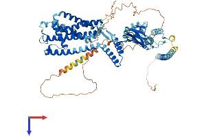 CNGA3 Protein (AA 1-694) (His tag)