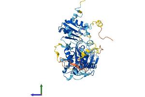 Protein Structure (PS) image for Diphthamide Biosynthesis Protein 2 (DPH2) (AA 1-489) protein (His tag) (ABIN7547230)