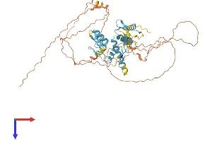 IKZF2 Protein (AA 1-526) (His tag)