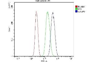 Flow Cytometry analysis of U937 cells using anti-Caspase-9/CASP9 antibody (ABIN7601196). (Caspase 9 Antikörper  (AA 3-410))