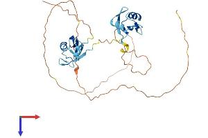MSI2 Protein (AA 1-346) (His tag)